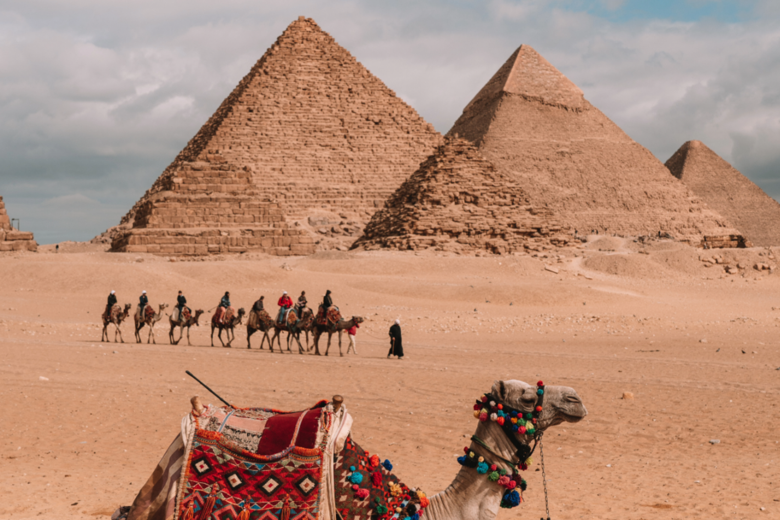 Untitled design (65)